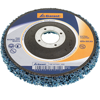 Grobreinigungsscheiben mit Glasgewebeteller