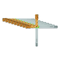 HOLEX Pro Tap Maschinen-Gewindebohrer Form C, TiN, M: M2