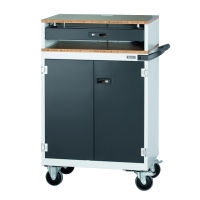 Computer-Arbeitsstation fahrbar