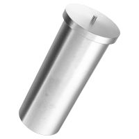 HBS Pins internal thread type IT stainless A2-50