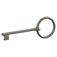 SCHÄNIS Ringschlüssel S 2304 zu Schloss 2304+206