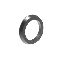 Kegelscheibe FireBird Pro, 1 Stück