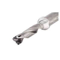 DCN 160-080-20R-5D Drill Body with Exchangeable Heads, Internal Coolant Holes and a Cylindrical Shank, Drilling Depth 5xD