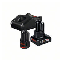 Set de pornire acumulator: 1 x GBA 12 volți, 2.0 Ah, 1 x GBA 12 volți, 4.0 Ah, GAL 12V-40