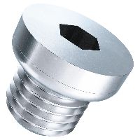 Screw plugs hexagon socket with collar pipe thread cylindrical with sealing ring DIN 908-steel zinc plated blue