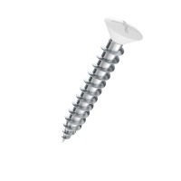 SFS Beschlagschrauben KS H Stahl GS-beschichtet/RAL9010 SPT