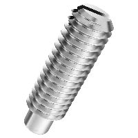 Viti di fermo con intaglio e calotta DIN 417-inossidabile A1/A2