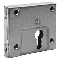 Riegelschloss Edelstahl PZ