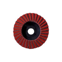 Kombi-Lamellenschleifteller 125 mm, grob, WS