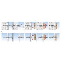 fischer Universaldübel mit Rand Nylon UX R