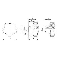 ELESA Sterngriffe DP sw/Messing VC.192