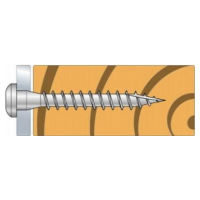 Viti connettore legno in acciaio inox zincato CSA blu