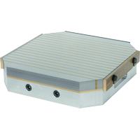 Piattaforme magnetiche