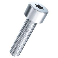 Cylinder screws hexalobe ISO 14579-08.8 zinc plated blue