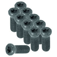 Set di viti con impronta Torx 10 pezzi