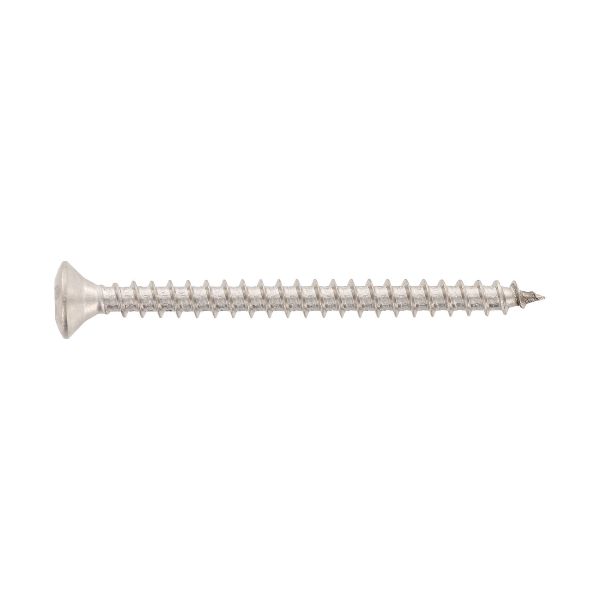 Lentils screws without shank stainless A2