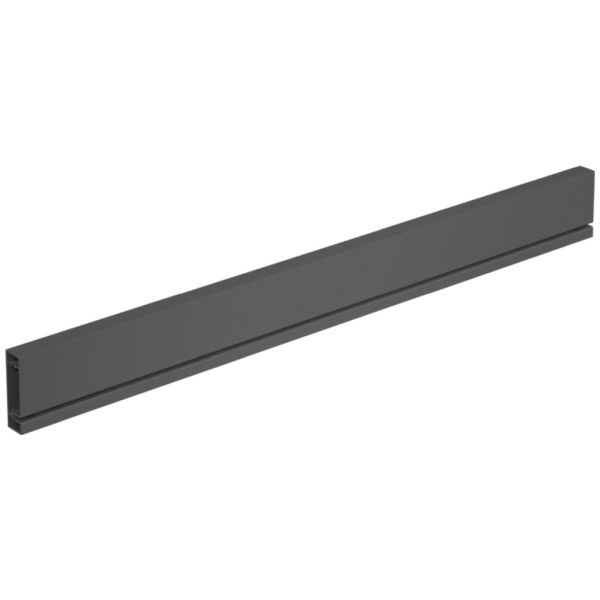 Hettich Profilé de paroi arrière AvanTech YOU pour Mise à longueur automatique H101 2000 mm anthracite