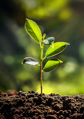 GARANT GreenPlus_21025026